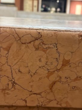 国立科学博物館に投稿された画像（2025/3/18）