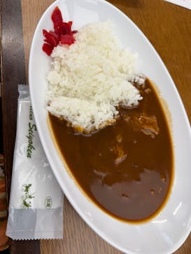 国立科学博物館に投稿された画像（2025/3/18）