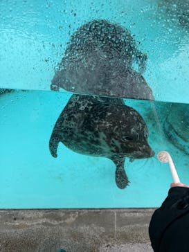 恩賜上野動物園に投稿された画像（2025/3/18）
