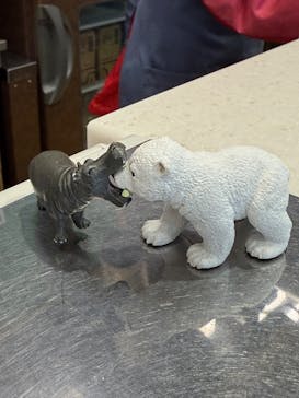 恩賜上野動物園に投稿された画像（2025/3/18）