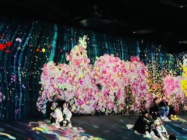 チームラボフォレスト 福岡 - SBI証券に投稿された画像（2025/3/18）