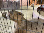 ひらかたパークに投稿された画像（2025/3/18）