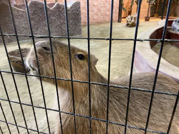 ひらかたパークに投稿された画像（2025/3/18）