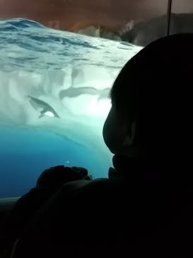 名古屋港水族館に投稿された画像（2025/3/18）