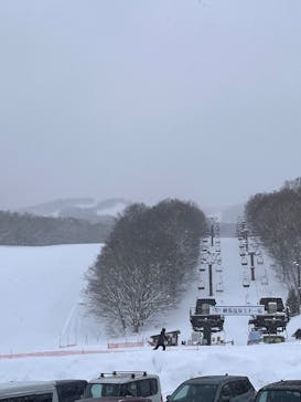 網張温泉スキー場に投稿された画像（2025/3/18）