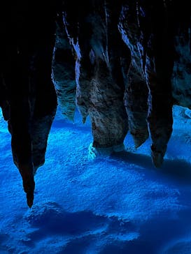 おきなわワールドに投稿された画像（2025/3/18）