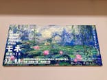 モネ　睡蓮のときに投稿された画像（2025/3/18）