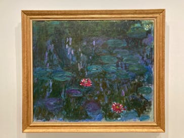 モネ　睡蓮のときに投稿された画像（2025/3/18）