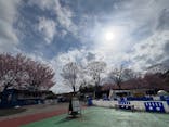伊豆ぐらんぱる公園に投稿された画像（2025/3/18）