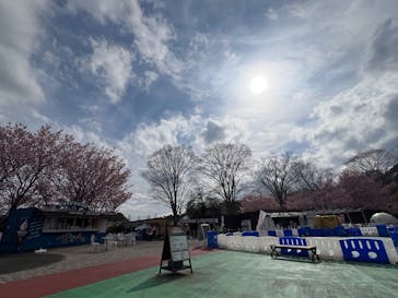 伊豆ぐらんぱる公園に投稿された画像（2025/3/18）