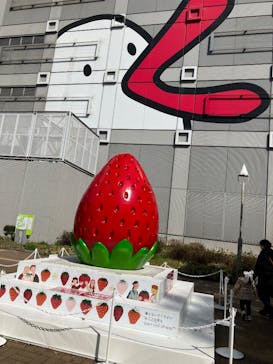 OSAKA Strawberry Festivalに投稿された画像（2025/3/18）
