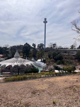 西武園ゆうえんちに投稿された画像（2025/3/18）