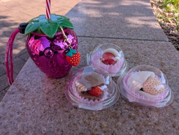 OSAKA Strawberry Festivalに投稿された画像（2025/3/18）