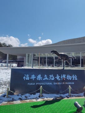 福井県立恐竜博物館に投稿された画像（2025/3/18）