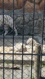 東武動物公園に投稿された画像（2025/3/18）
