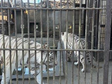 宇都宮動物園に投稿された画像（2025/3/18）