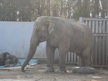 宇都宮動物園に投稿された画像（2025/3/18）