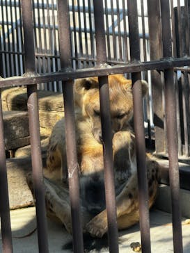 宇都宮動物園に投稿された画像（2025/3/18）