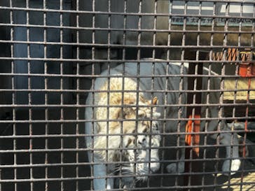 宇都宮動物園に投稿された画像（2025/3/18）