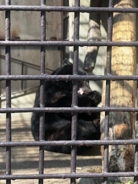 宇都宮動物園に投稿された画像（2025/3/18）