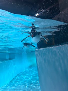 AOAO SAPPOROに投稿された画像（2025/3/18）