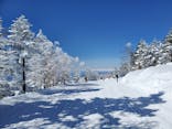 志賀高原焼額山スキー場に投稿された画像（2025/3/18）