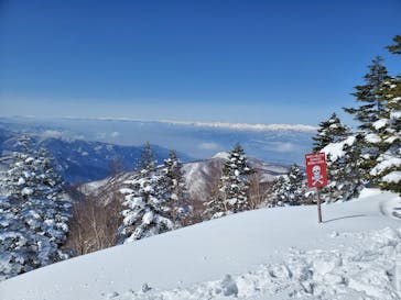 志賀高原焼額山スキー場に投稿された画像（2025/3/18）