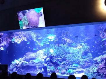大分マリーンパレス水族館 「うみたまご」に投稿された画像（2025/3/18）