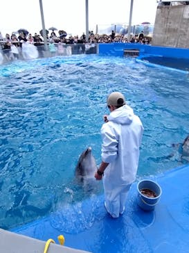 大分マリーンパレス水族館 「うみたまご」に投稿された画像（2025/3/18）