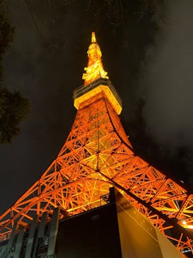 東京タワーに投稿された画像（2025/3/18）