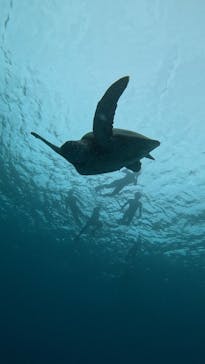  マリンショップHAPPYに投稿された画像（2025/3/18）