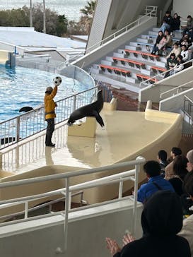 マリンワールド海の中道に投稿された画像（2025/3/18）