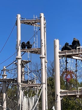 名古屋市東山動植物園に投稿された画像（2025/3/18）