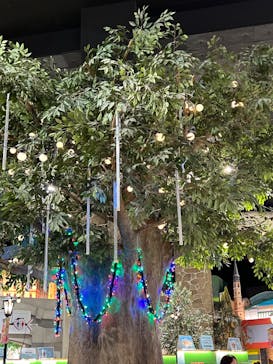 カンドゥー幕張に投稿された画像（2025/3/18）