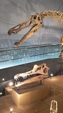 福井県立恐竜博物館に投稿された画像（2025/3/18）