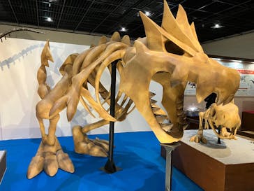 福井県立恐竜博物館に投稿された画像（2025/3/18）