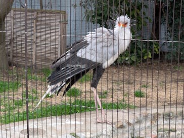 恩賜上野動物園に投稿された画像（2025/3/18）