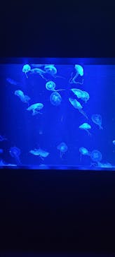 AOAO SAPPOROに投稿された画像（2025/3/18）