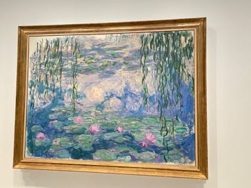 モネ　睡蓮のときに投稿された画像（2025/3/18）