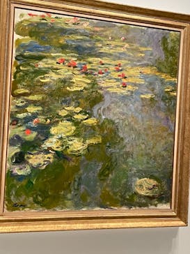 モネ　睡蓮のときに投稿された画像（2025/3/18）