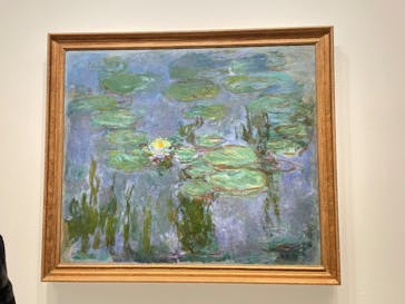 モネ　睡蓮のときに投稿された画像（2025/3/18）