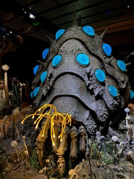 金曜ロードショーとジブリ展　三重展に投稿された画像（2025/3/18）