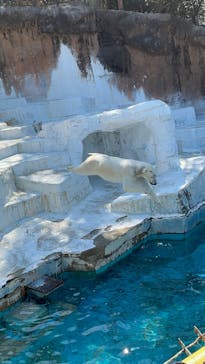 天王寺動物園に投稿された画像（2025/3/18）
