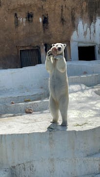 天王寺動物園に投稿された画像（2025/3/18）