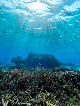 Nami宮古島に投稿された画像（2025/3/18）