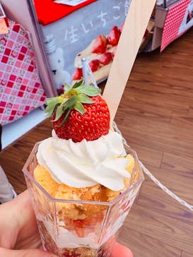 OSAKA Strawberry Festivalに投稿された画像（2025/3/18）
