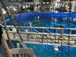 沖縄美ら海水族館に投稿された画像（2025/3/19）