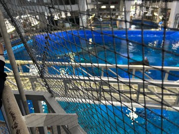 沖縄美ら海水族館に投稿された画像（2025/3/19）