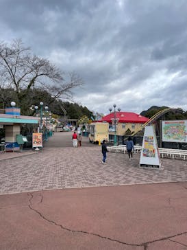 日本モンキーパークに投稿された画像（2025/3/19）