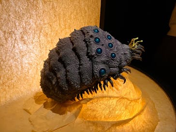 金曜ロードショーとジブリ展　三重展に投稿された画像（2025/3/19）